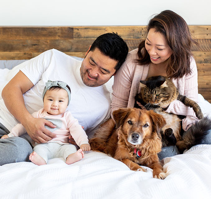 Mom and dad sitting on a bed with their baby and their cat and dog