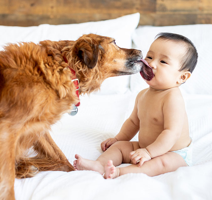 Baby getting a kiss from a dog
