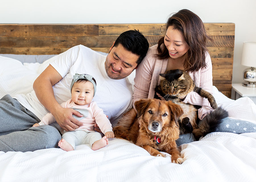 Parents with their baby and their cat and dog on a bed