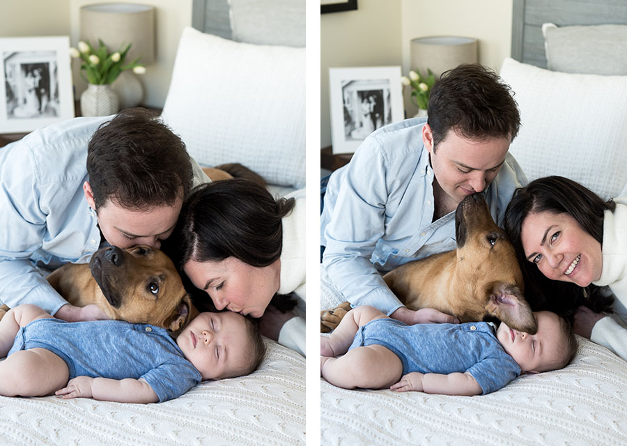 two photographies of parents on a bed with their baby and their dog