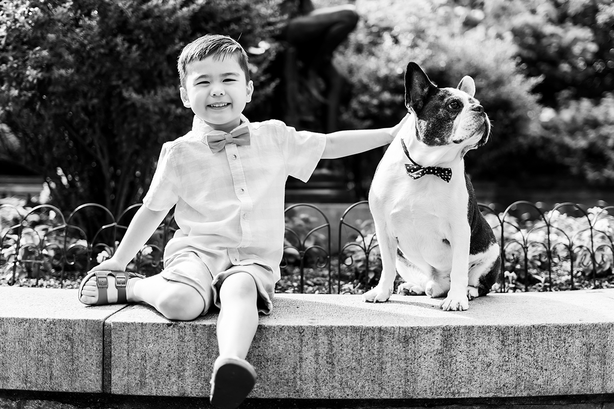 boy with bowtie petting his french bulldog