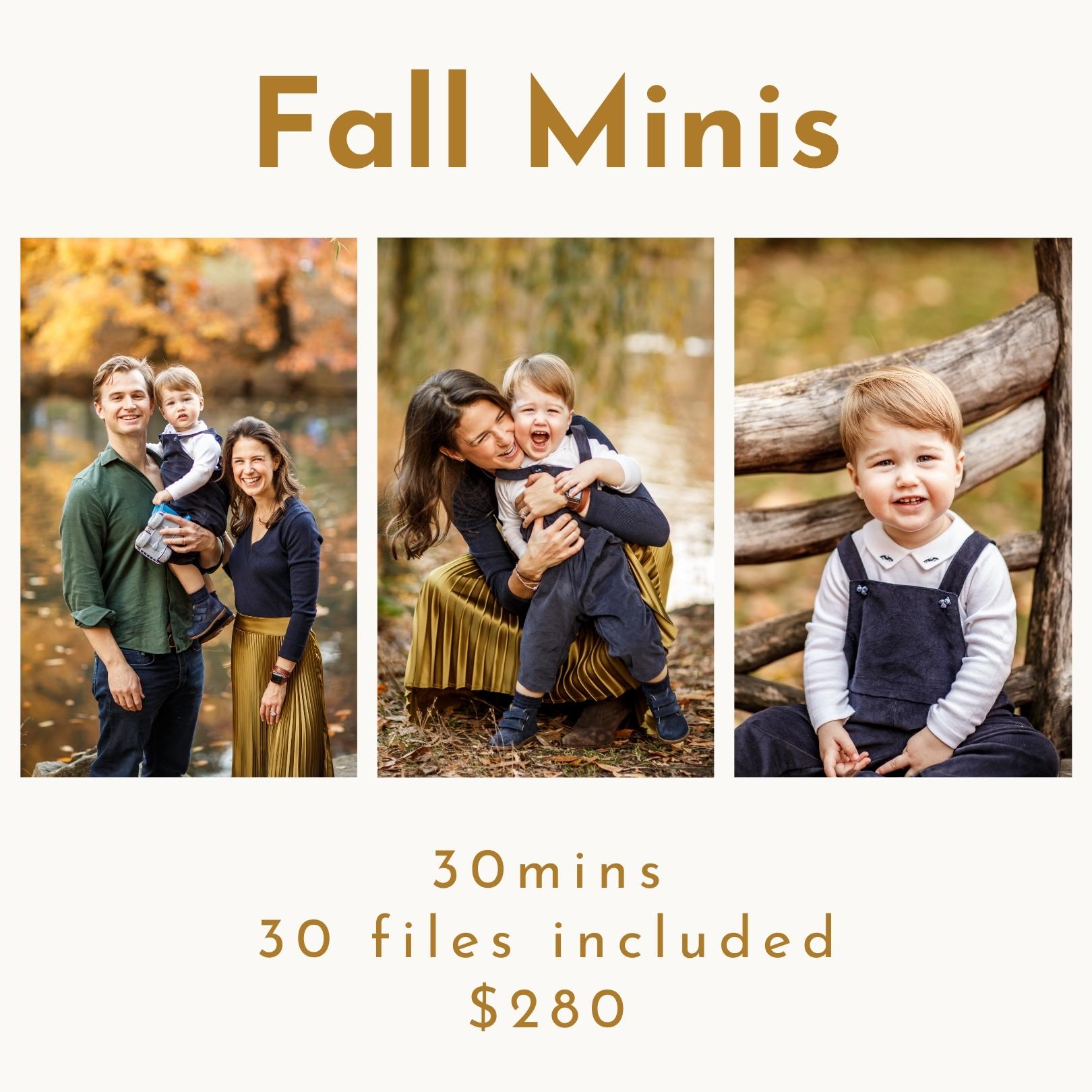 flyer for fall minis with three photographies of family and toddler