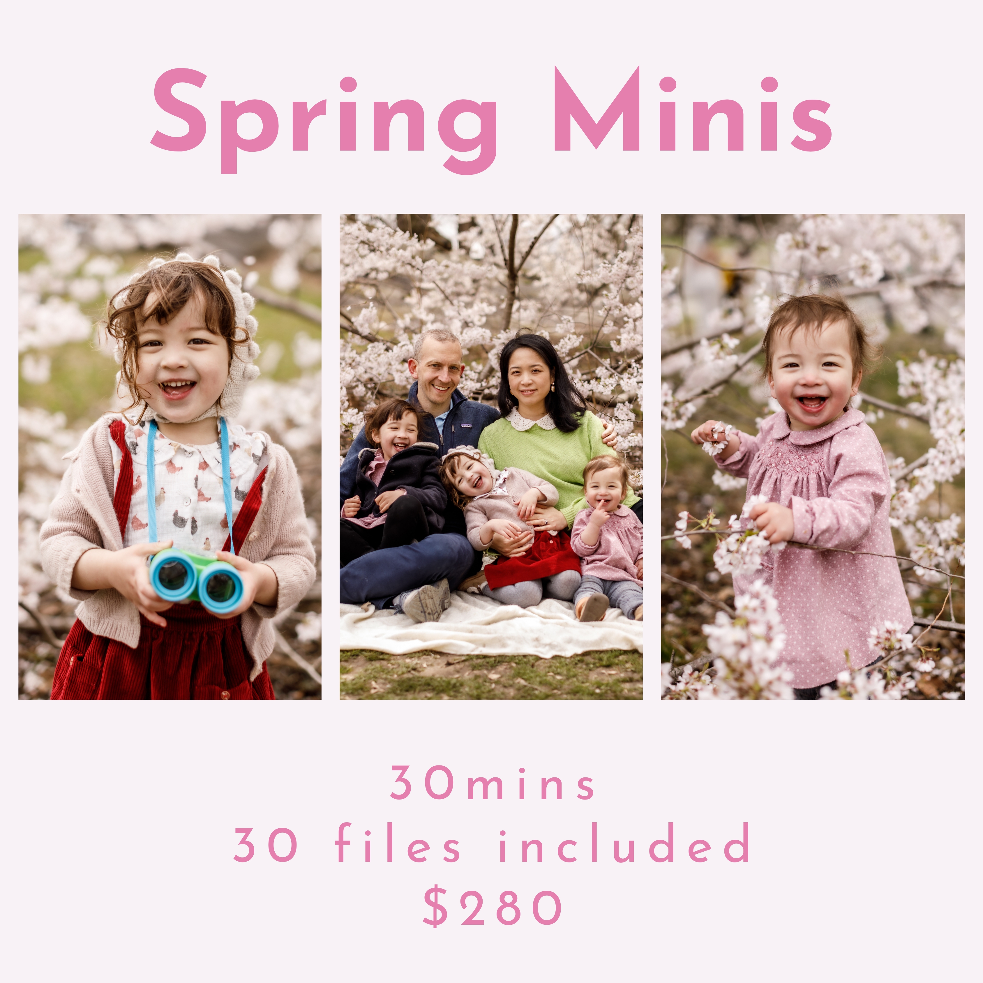 flyer for spring minis with three photographies of family and toddlers