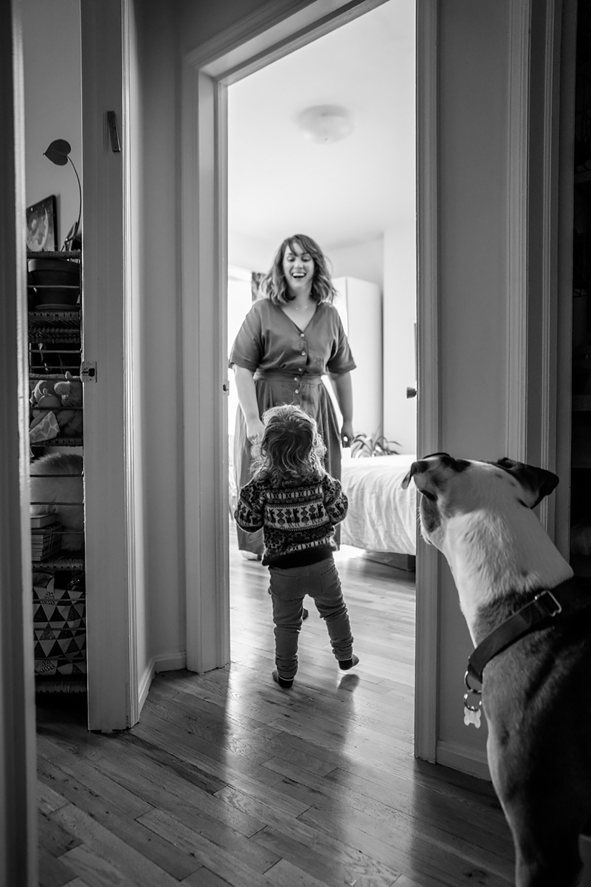 BW toddler runs towards his mom dog in front is watching them