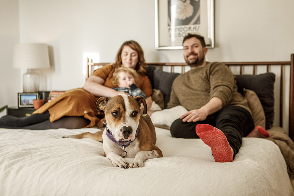 cute dog on parents bed with family in the background