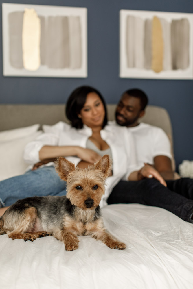 couple lying on a bed but the focus is on their dog lying in front of them