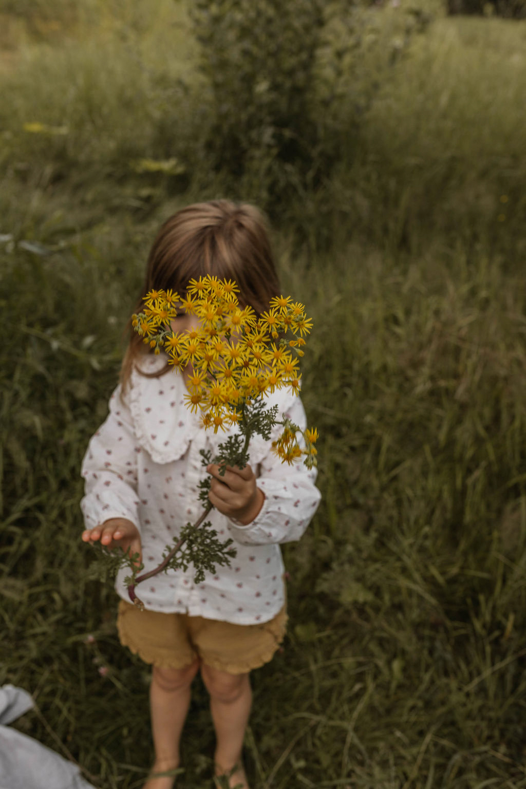 girl holding a bouquet of wild yellow flowers in front of her face