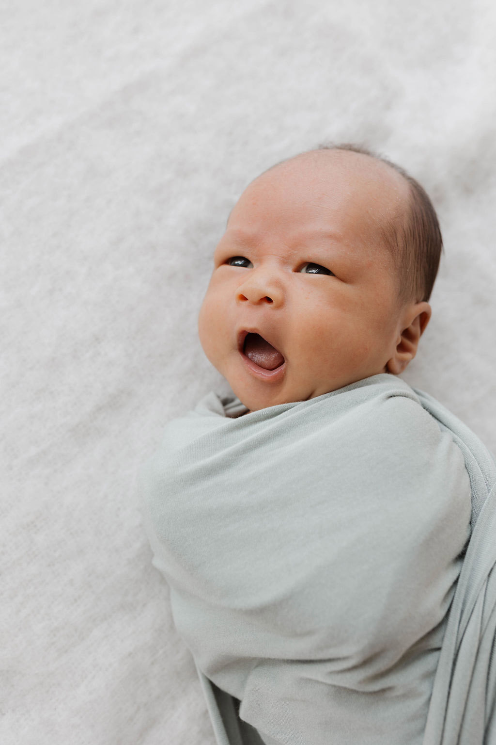 baby wrapped in a grey blanket yawning white background