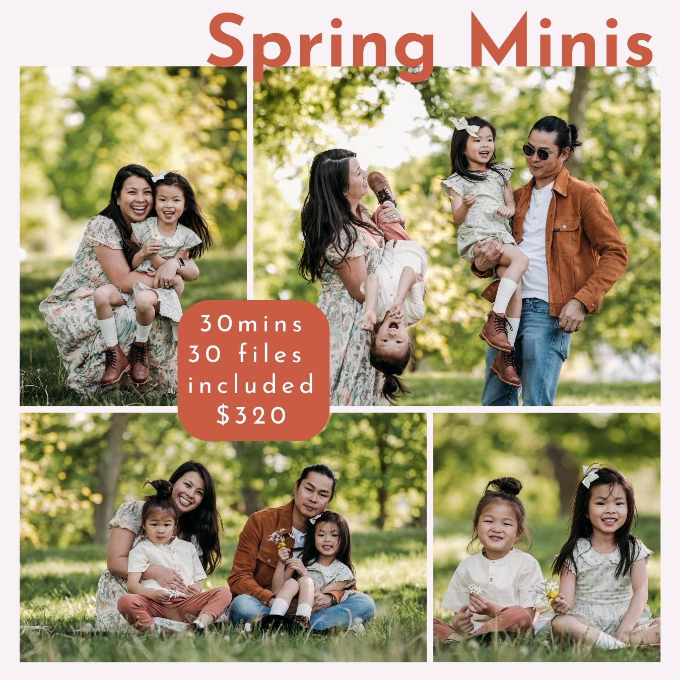 flyer for spring minis with four photos of a family of four, daughter sitting in mothers lap in the grass both smiling at the camera, mother is holding daughter upside down and father is holding daughter in front of green trees, mother and father sitting with their two daughters in the green grass, two girls sitting in the grass smiling at the camera; the flyer is captioned "30 mins, 30 files included, $320"