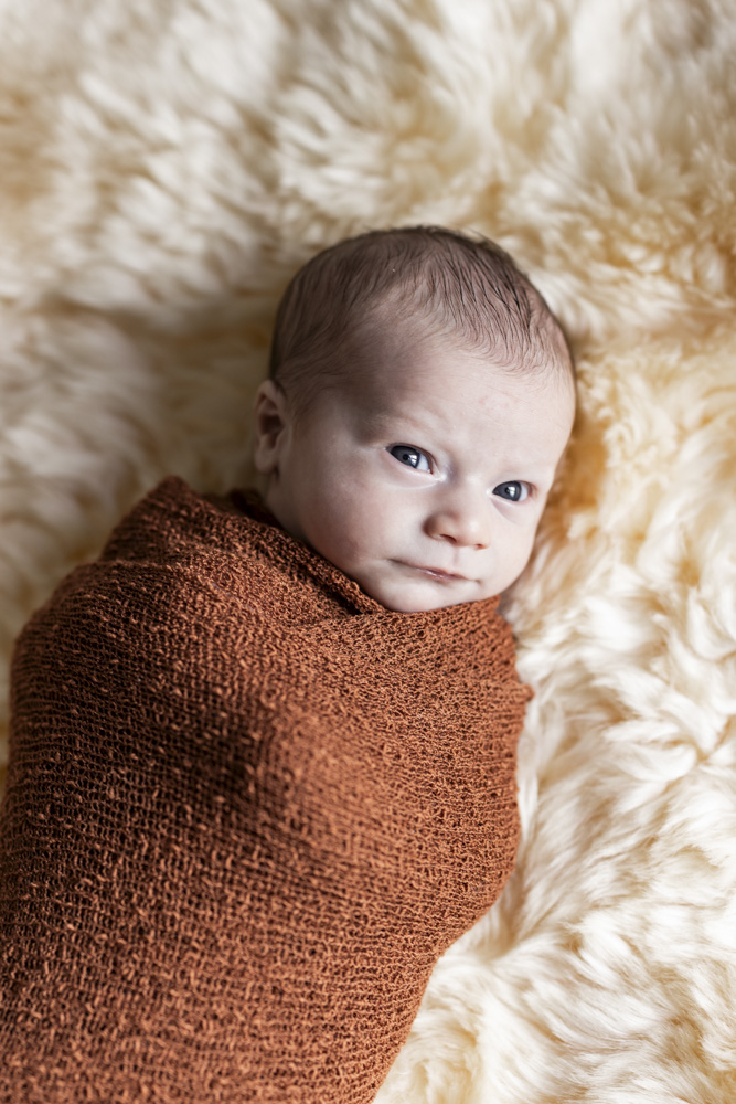 Baby Photography, close up of a newborn swaddled in a brown blanket lying on a fuzzy beige blanket with eyes wide open