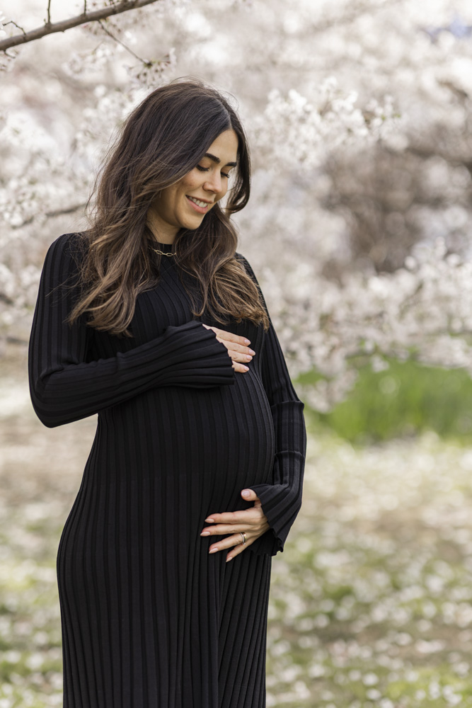 Maternity Session, pregnant woman in a beautiful long black dress is standing in front of a cherry blossom tree holding her belly looking down