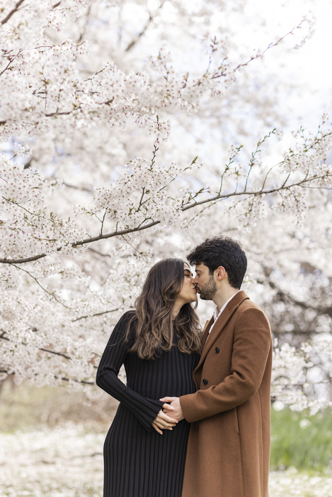 Maternity Session, pregnant woman in a long black dress and her partner standing in front of a cherry blossom tree kissing each other